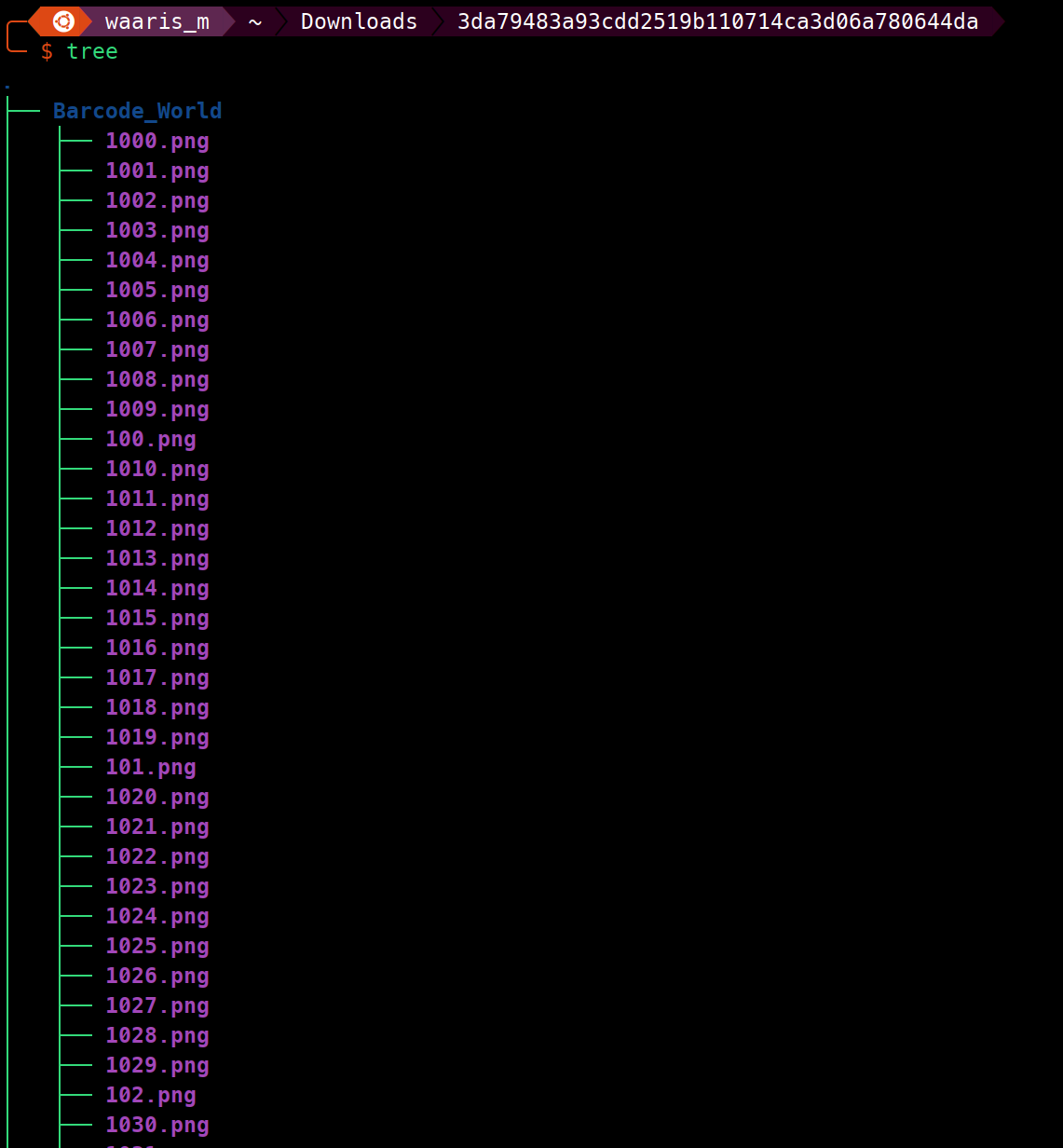 Barcode World challenge files