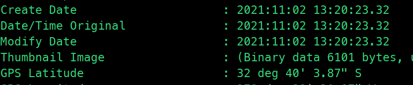 Image timestamp metadata