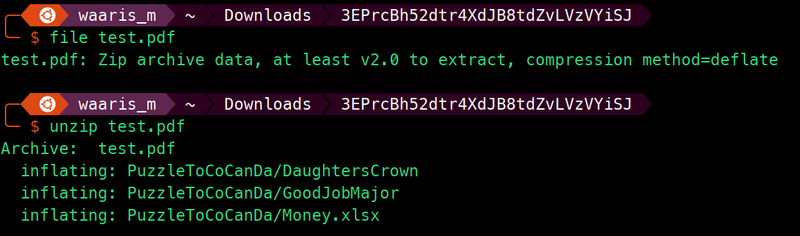 Recovered zip evidence