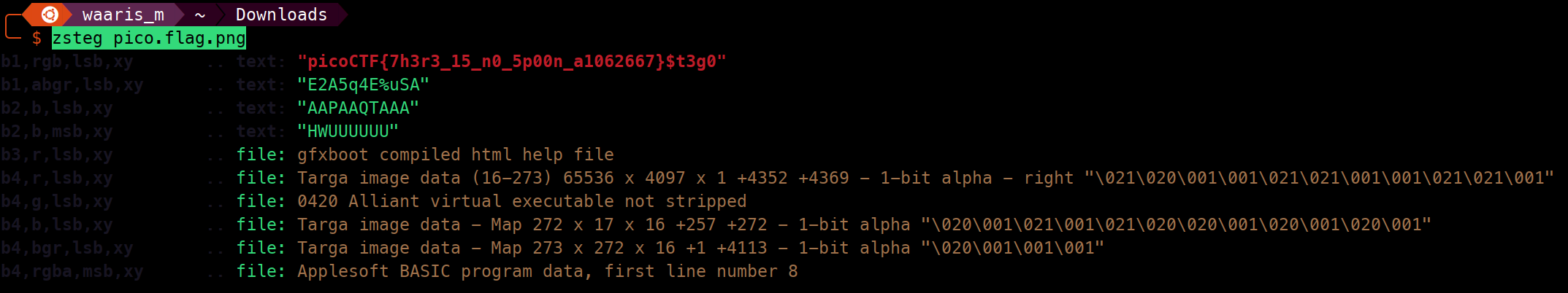 zsteg output