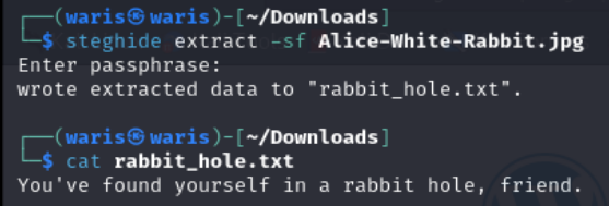 Rabbit Hole!