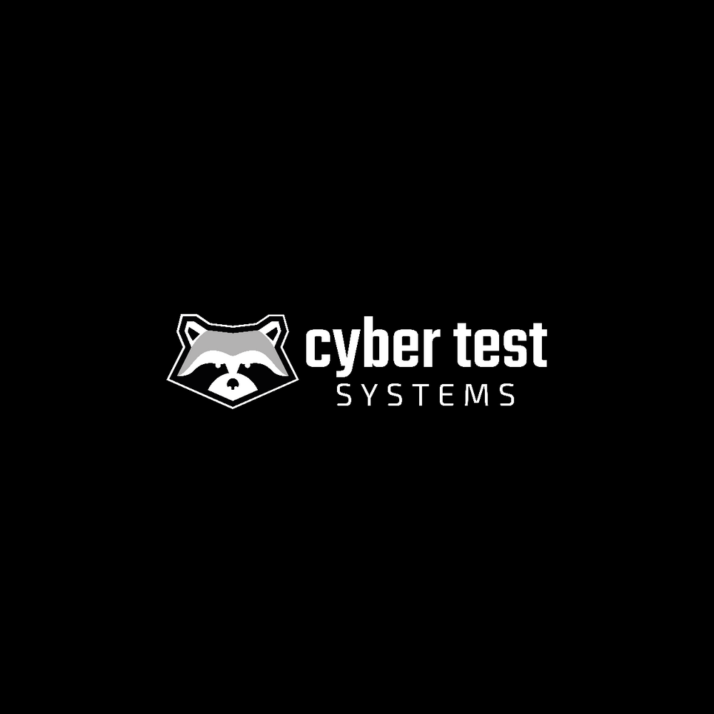 Cyber Security Engineer at Cyber Test Systems